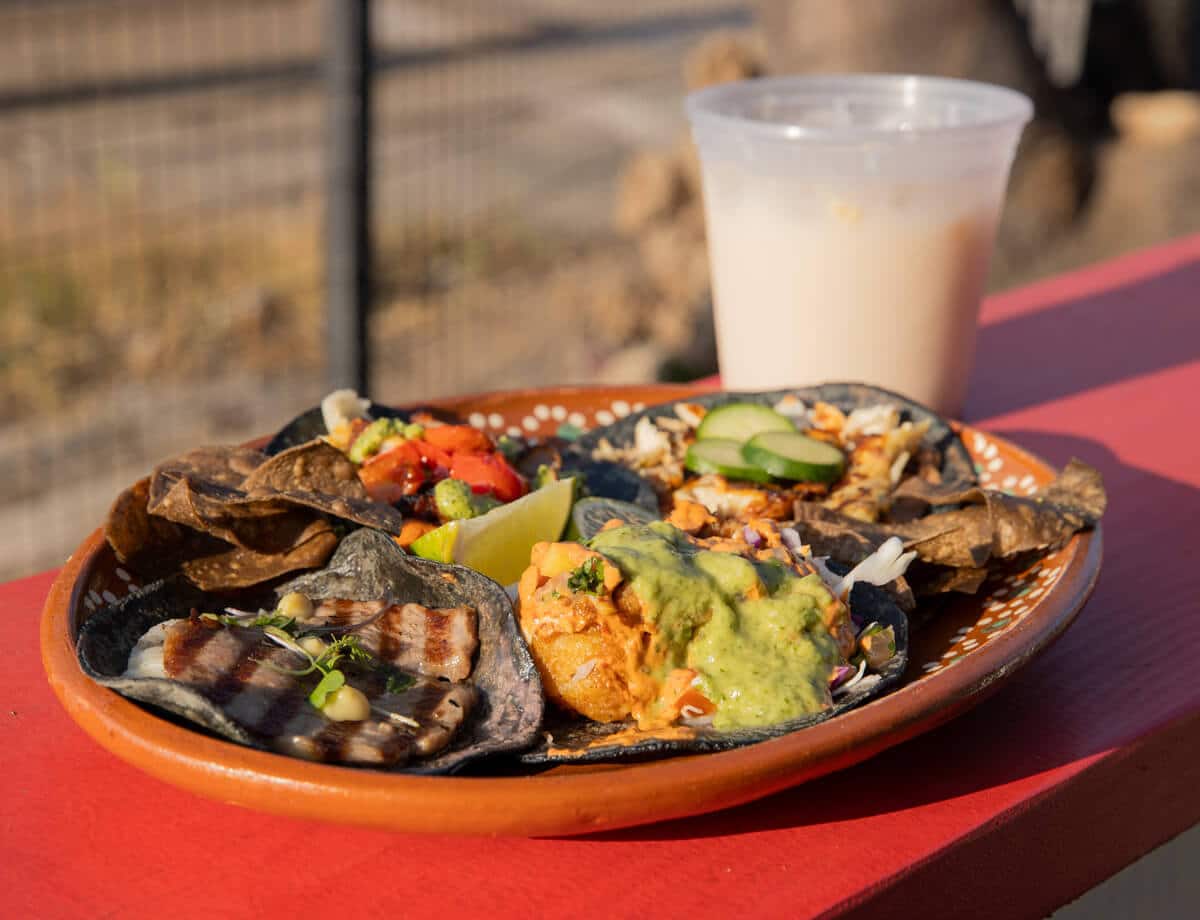 Blue corn taco platter with guacamole, pico de gallo and grilled fish served at Villa's Tacos Los Angeles